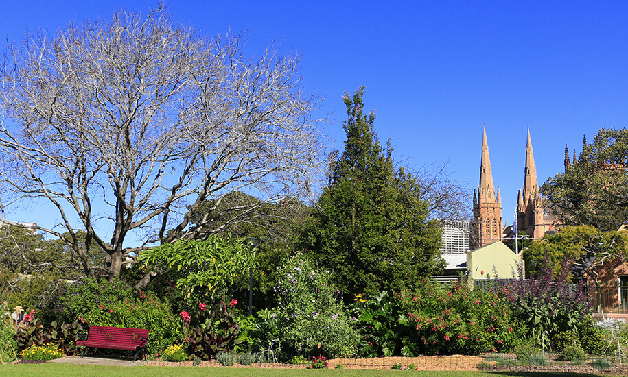 St Marys Cathedral, sydney