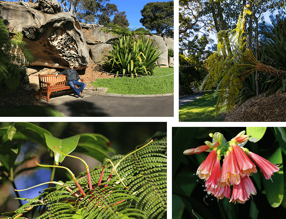 botanical gardens, sydney
