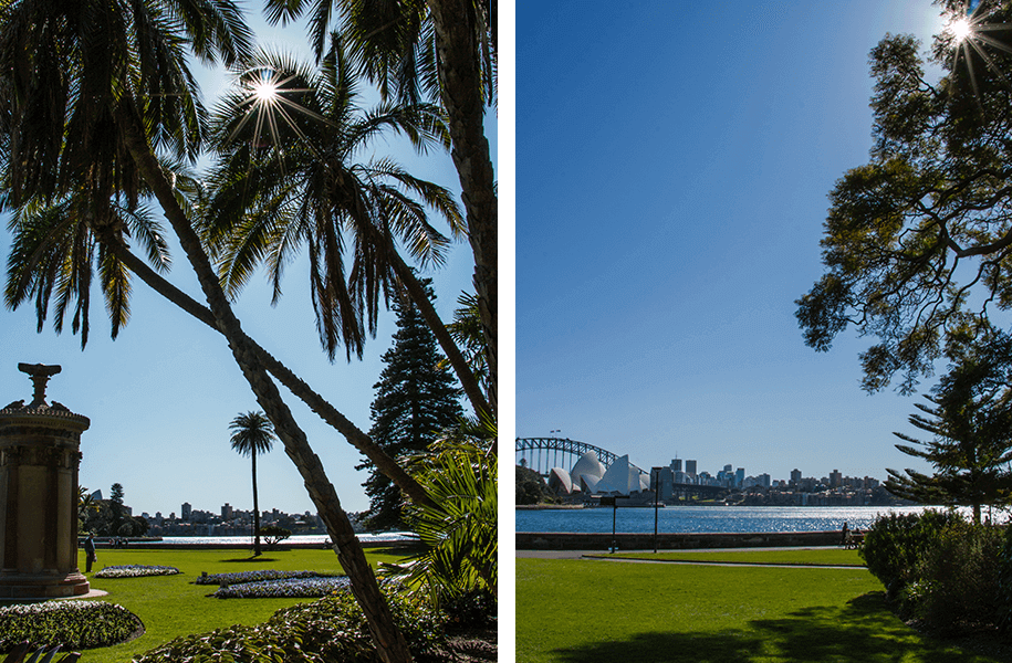 botanical gardens, sydney