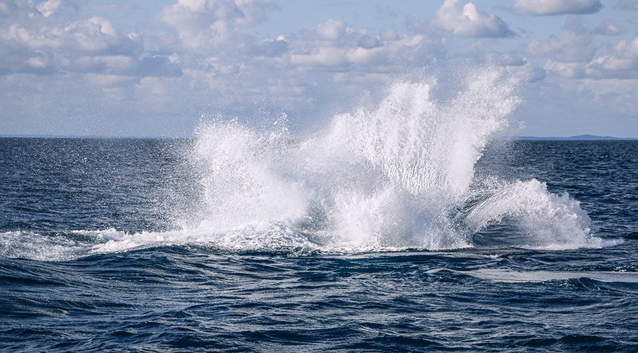 Hervey Bay,Queensland,australia, australien