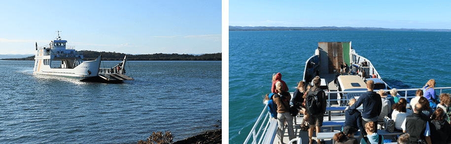 River Heads-Wanggoolba Creek, Fraser Island,Queensland,australia, australien