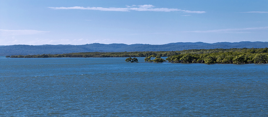 River Heads-Wanggoolba Creek, Fraser Island,,Queensland,australia, australien