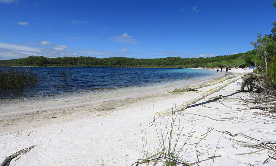 Lake Mckenzie, Fraser Island,Queensland,australia, australien