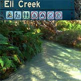 eli creek