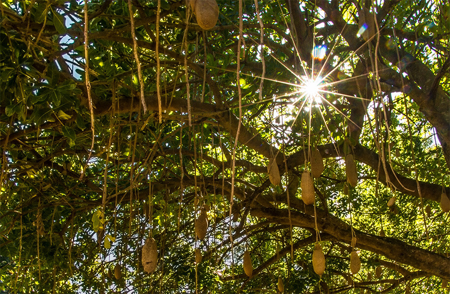 Maryborough,Queensland,australia, australien