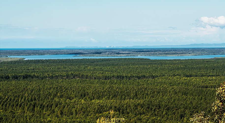 Glas House Mountains,Queensland,australia, australien