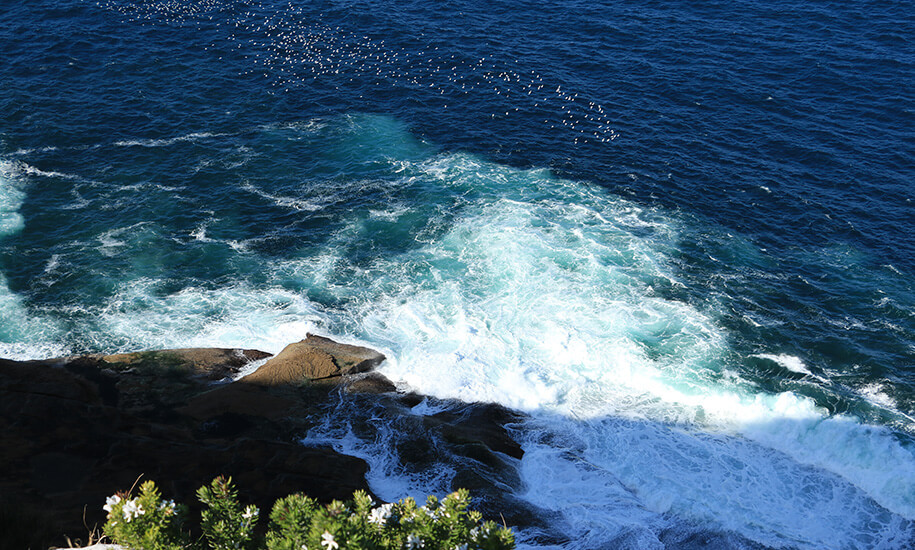 Fairfax Point, sydney