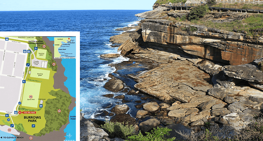 Burrows Park, sydney