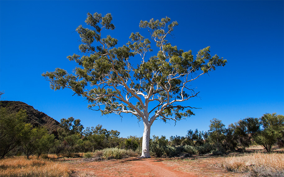Jessy Gap, outback, australia, australien