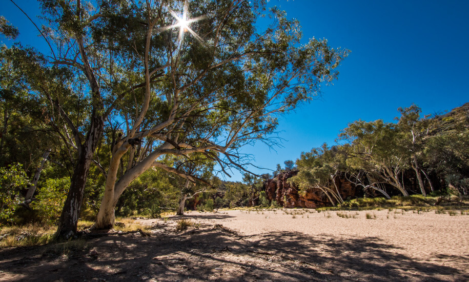 Trephina Gorge, outback, australia, australien