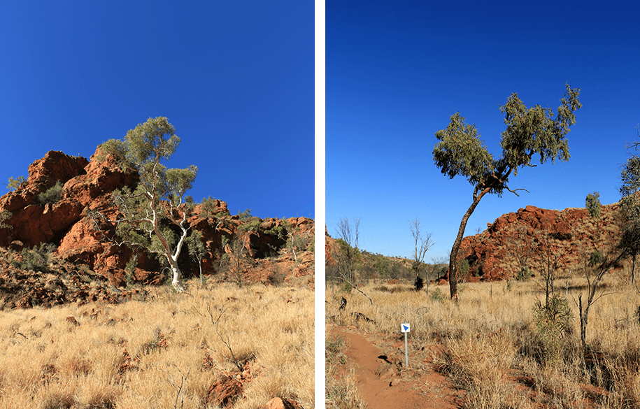 N'Dhala Gorge, outback, australia, australien