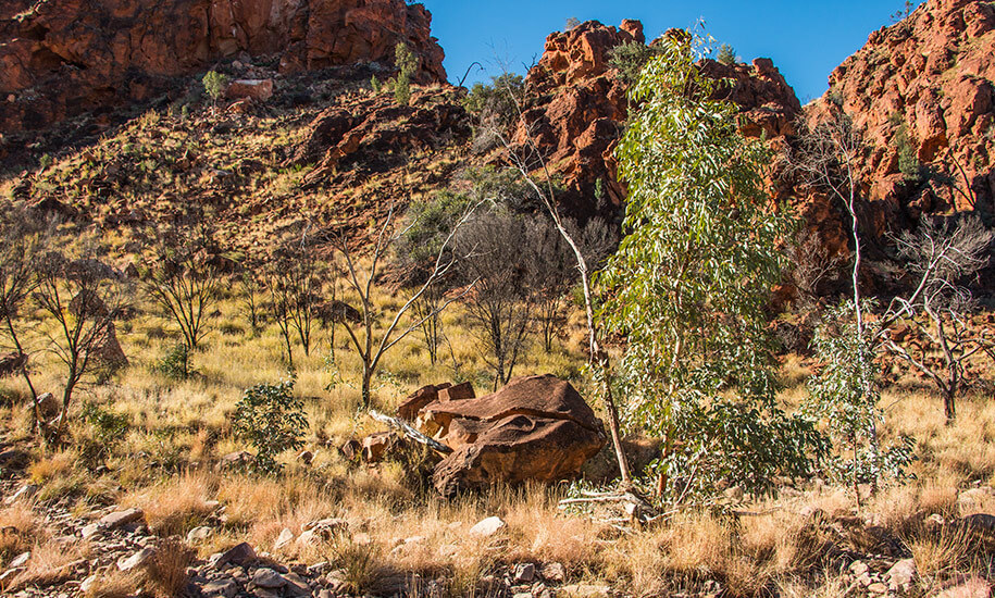 N'Dhala Gorge, outback, australia, australien