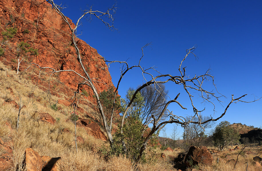 N'Dhala Gorge, outback, australia, australien