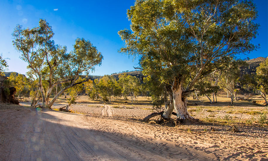 N'Dhala Gorge, outback, australia, australien