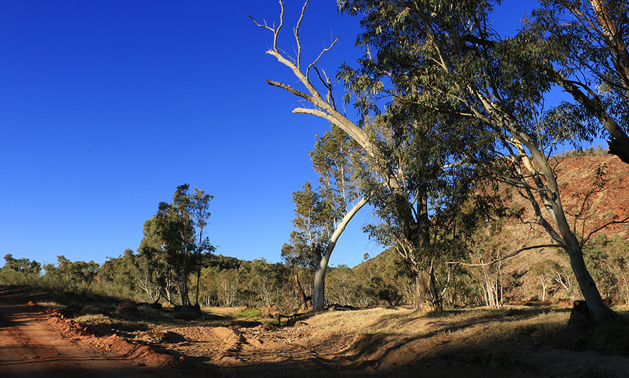 N'Dhala Gorge, outback, australia, australien