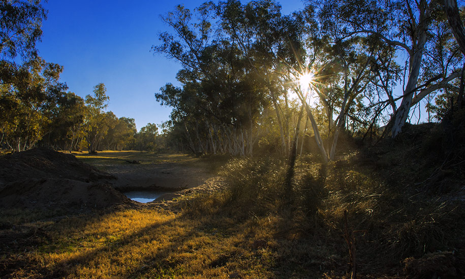 N'Dhala Gorge, outback, australia, australien