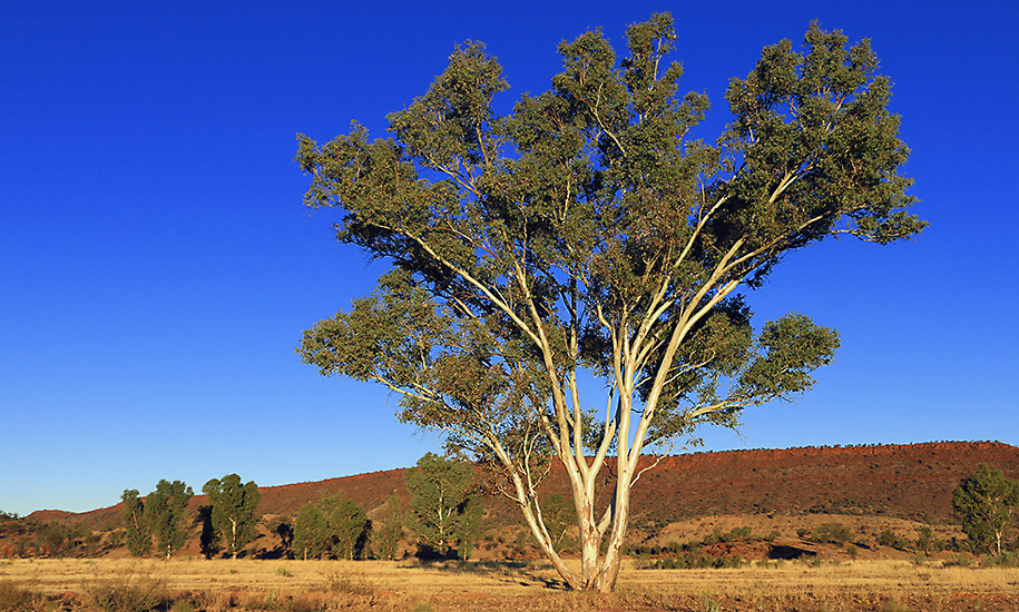 Rossway Hwy, outback, australia, australien