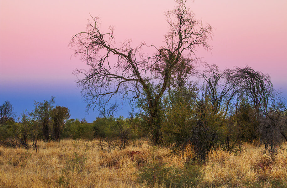 Rossway Hwy, outback, australia, australien