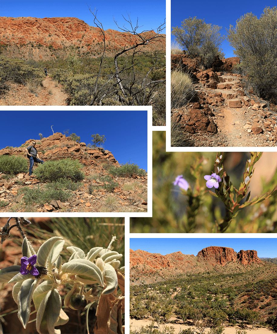 Panorama Walk, Trephina Gorge, outback, australia, australien