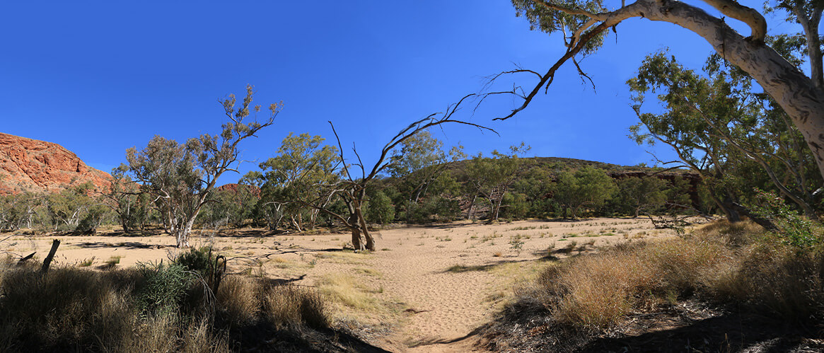 Trephina Gorge, outback, australia, australien