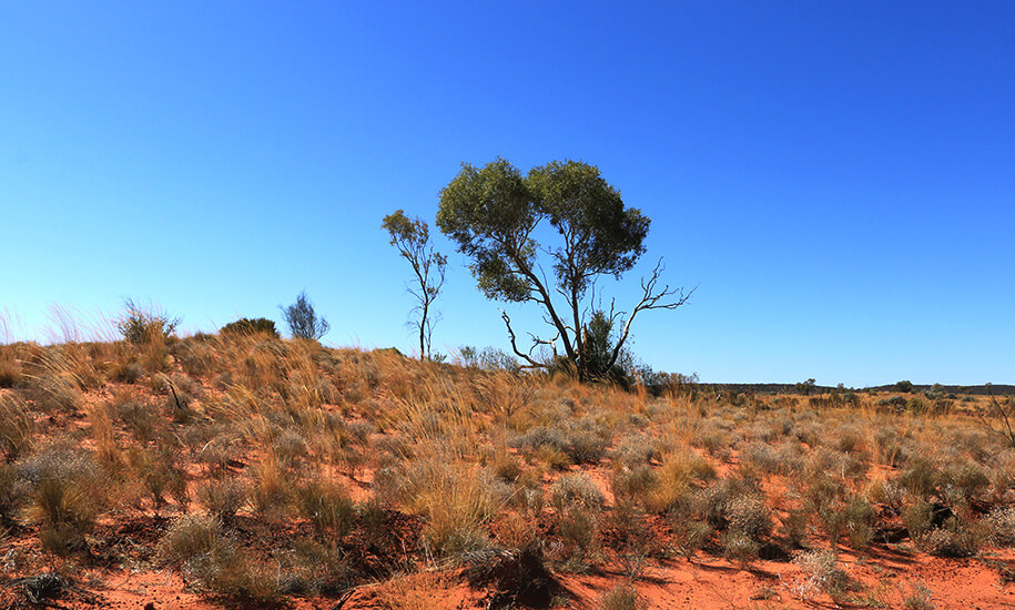 Mereenie Loop Road,australia, australien