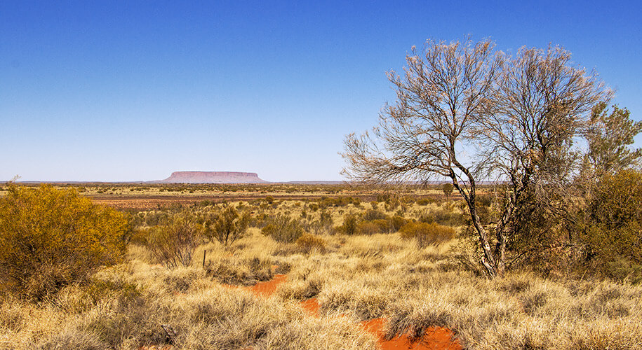 mt.connor, outback,,australia, australien