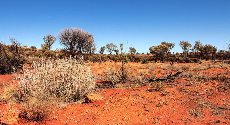 outback,australia, australien