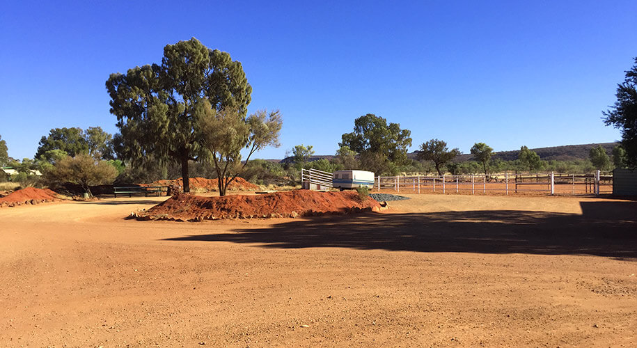 creek ranch, south rim walk,outback,australia, australien
