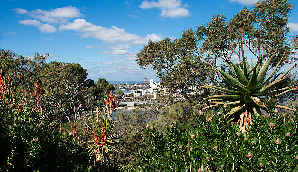 Perth, Kings Park and Botanical Garden, born4travel.de