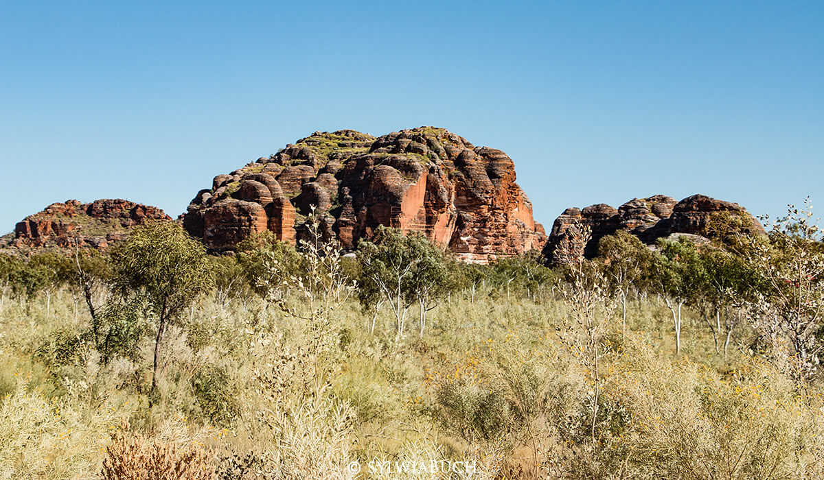 Punululu NP,Bungle Bungle,born4travel.de Punululu NP,Bungle Bungle,born4travel.de