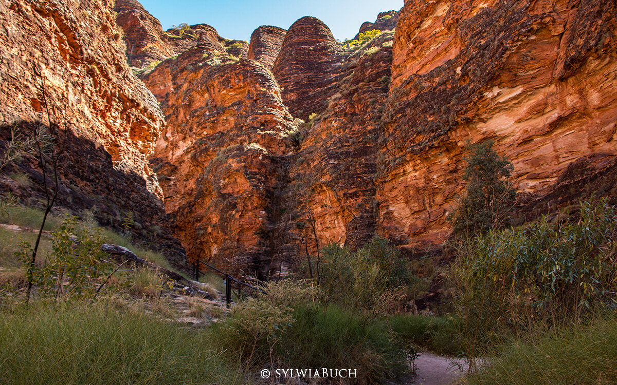 Cathedral Gorge, Punululu NP,Bungle Bungle,born4travel.de Cathedral Gorge, Punululu NP,Bungle Bungle,born4travel.de