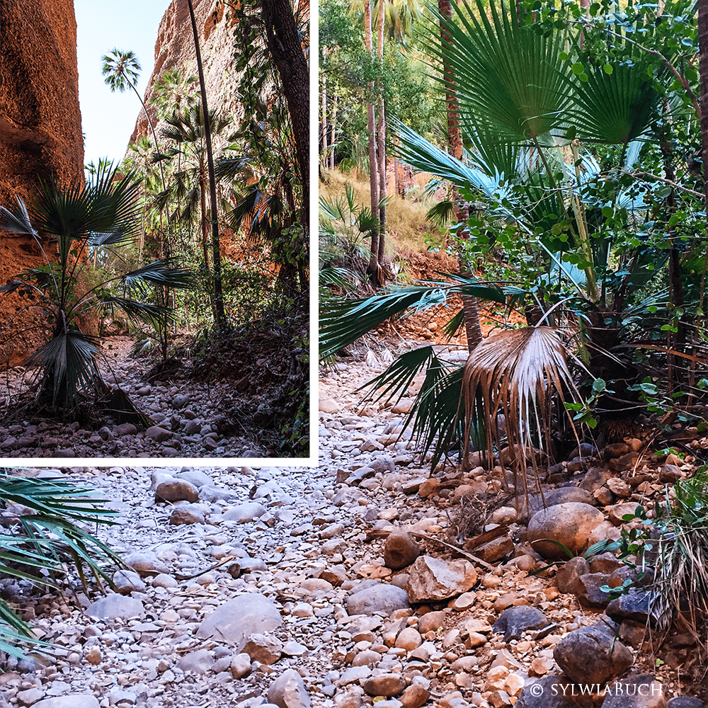 Echidna Chasm, Punululu NP,Bungle Bungle,born4travel.de Echidna Chasm, Punululu NP,Bungle Bungle,born4travel.de