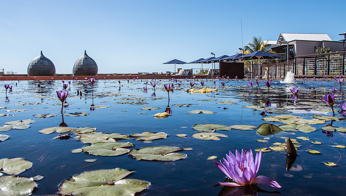 Novotel Exmouth,born4travel.de