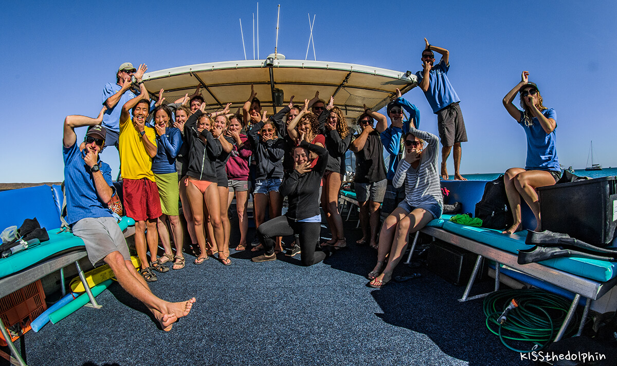 Walhaie im Ningaloo Marine Park,born4travel.de