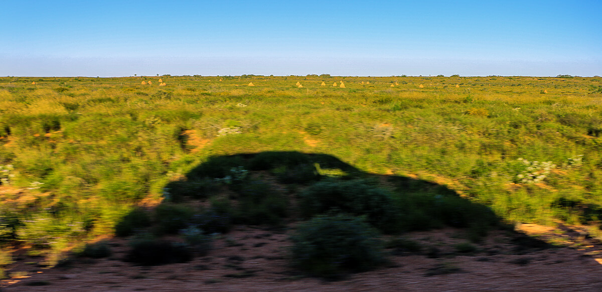 ,born4travel.de ,born4travel.de