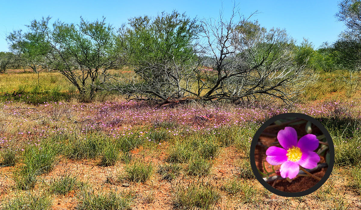 Peron Peninsula,born4travel.de