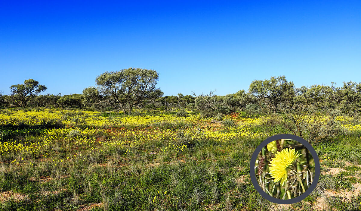 Peron Peninsula,born4travel.de