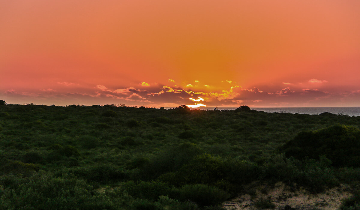 On the Deck @ Shark Bay, Denham,born4travel.de