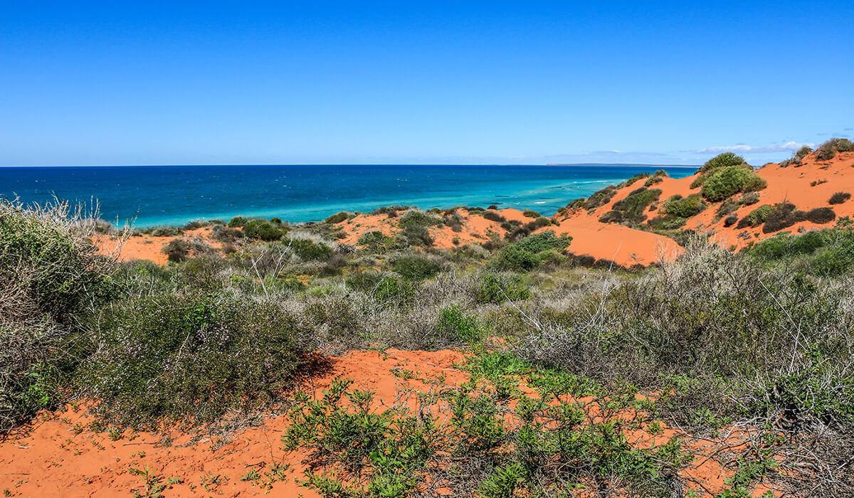 Skipjack Point,François-Peron-Nationalpark,born4travel.de