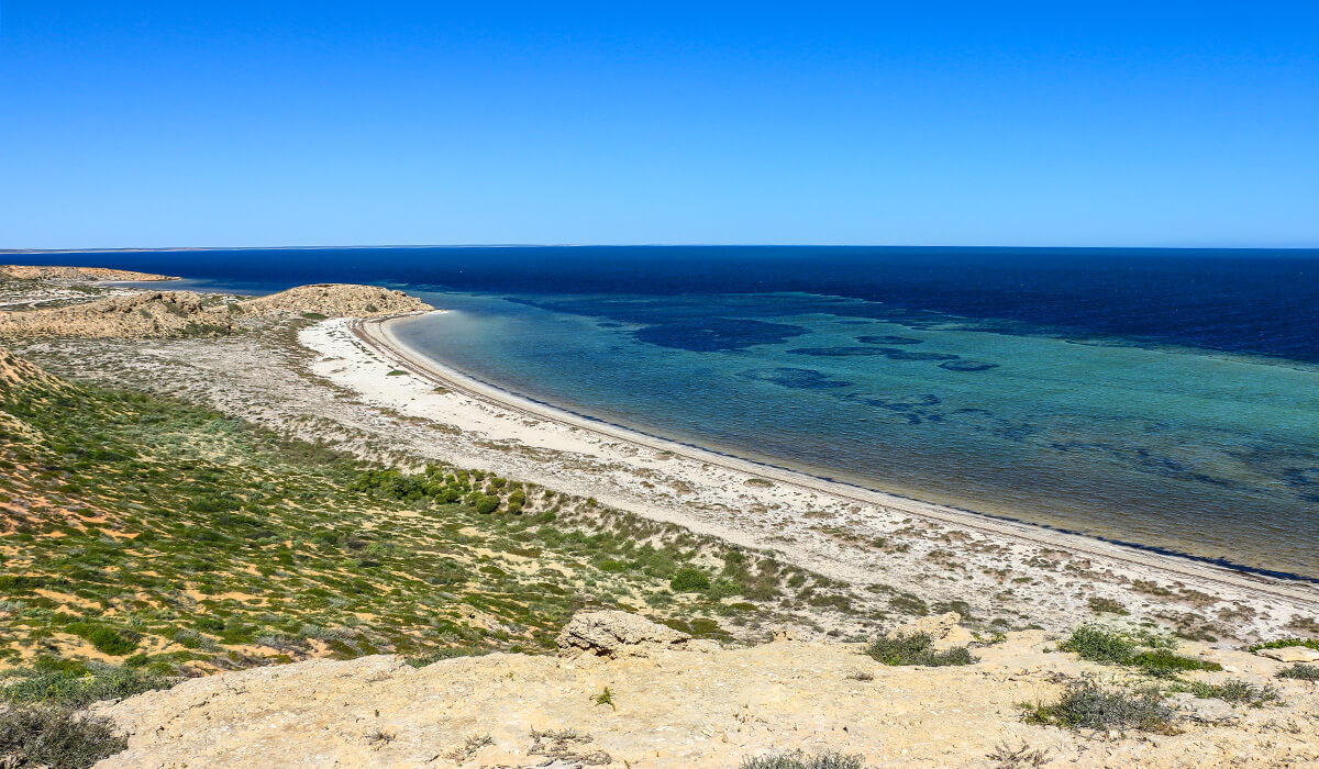 Whalebone,born4travel.de Whalebone,born4travel.de