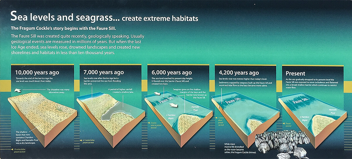 Shell Beach,born4travel.de Shell Beach,born4travel.de