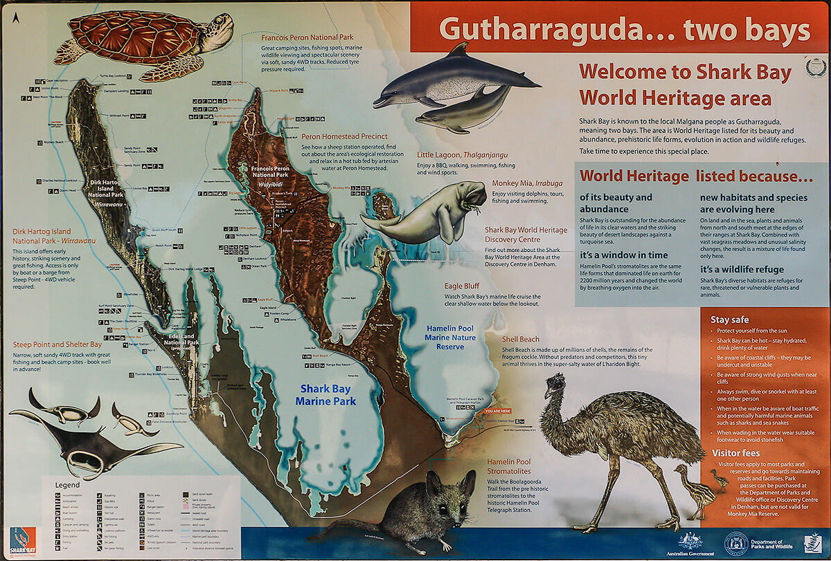 hamelin pool, western australia