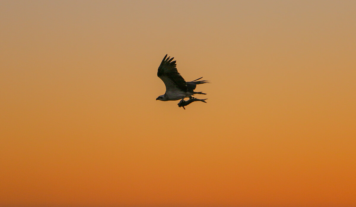 Jakes Point, Kalbarri, Western Australia, born4travel.de