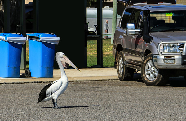 kalbarri, Gantheaume Bay, western australia, born4travel.de
