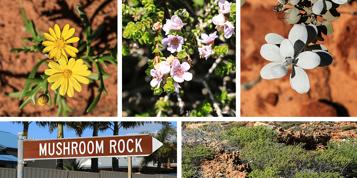 kalbarri,mushroom rock, western australia, born4travel.de