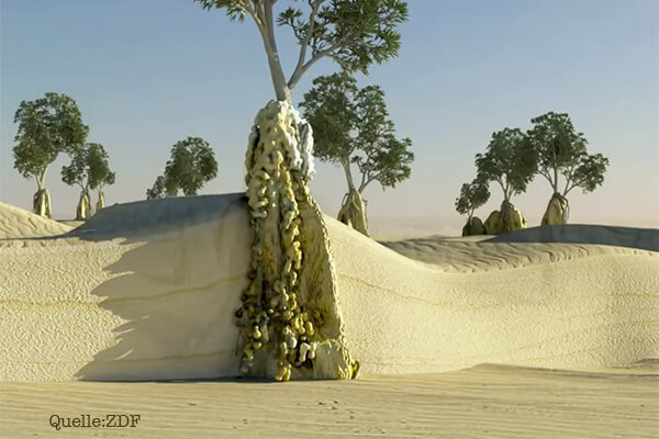 Nambung NP, western australia, born4travel.de
