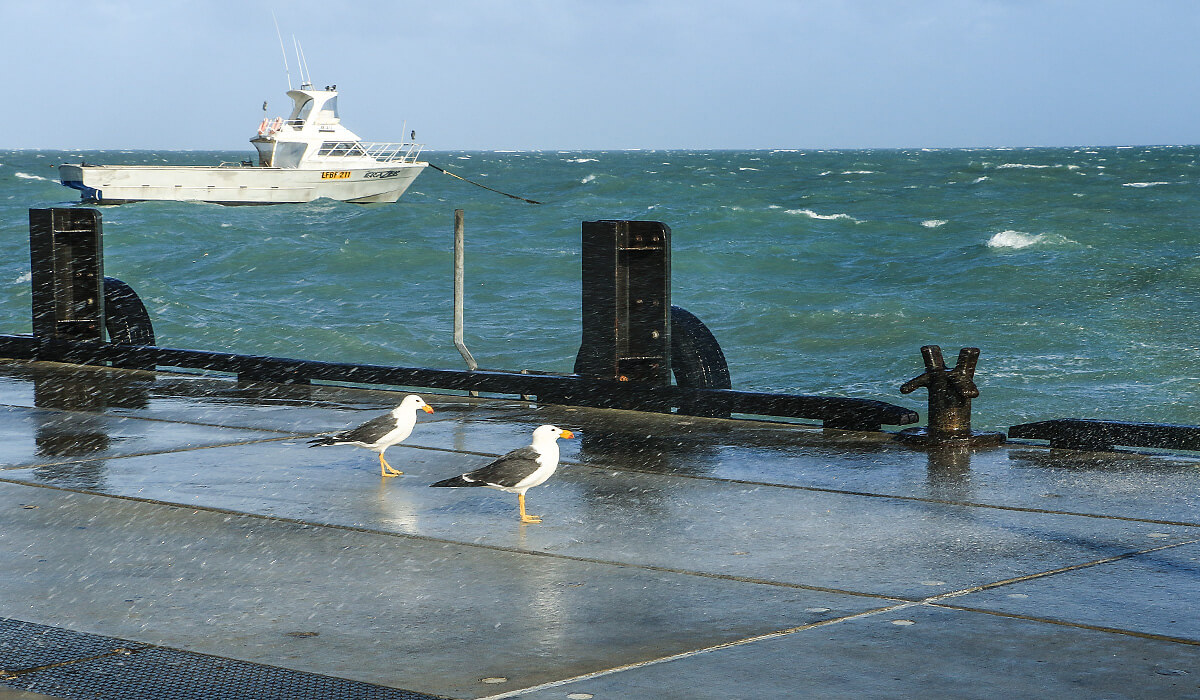 Ronsard Bay,Cervantes, western australia, born4travel.de
