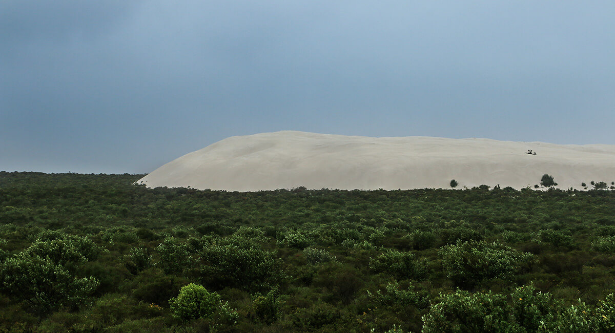 Cervantes, western australia, born4travel.de
