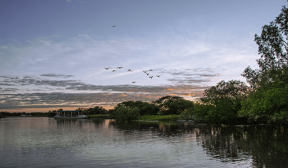 Yellow Water Morning Cruise,Kakadu NP,born4travel.de