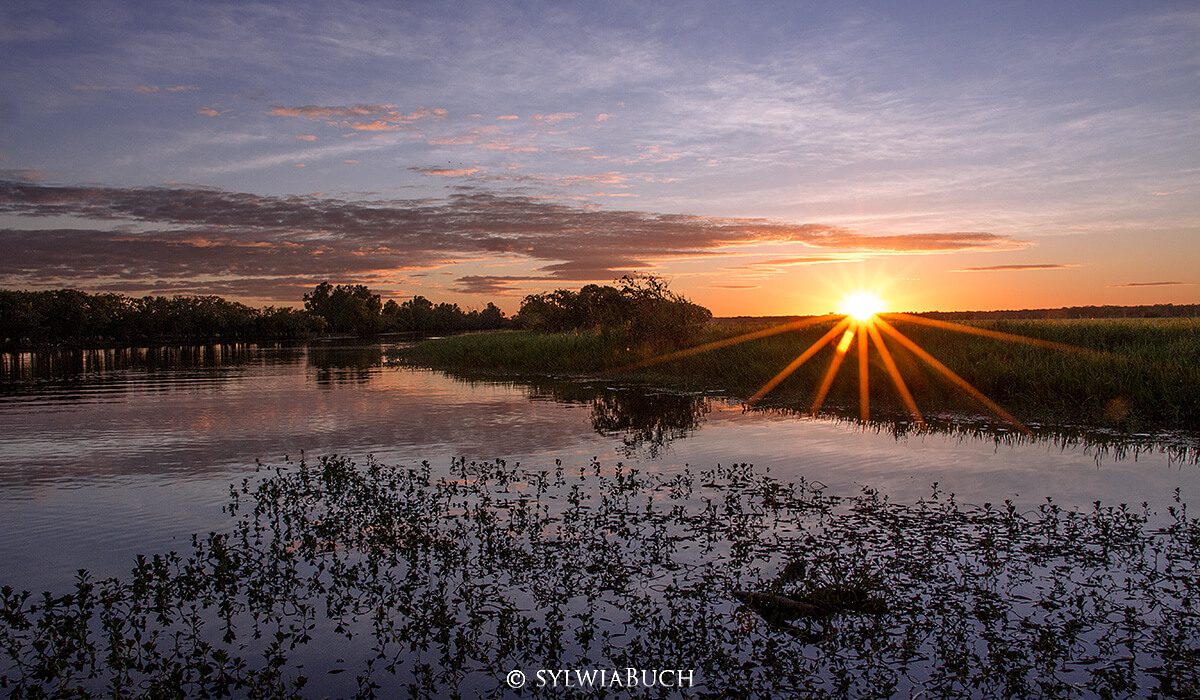 Yellow Water Morning Cruise,Kakadu NP,born4travel.de